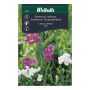 Weibulls blomsterfrø ærteblomst mix 