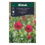 Weibulls blomsterfrø rød hør Rubrum