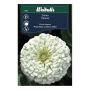 Weibulls blomsterfrø Zinnia Elegans Polar Bear