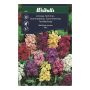 Weibulls blomsterfrø levkøj mix