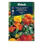 Weibulls blomsterfrø lav tagetes Mix