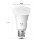 Philips Hue kronepære White and Color Ambiance A60 E27 9 W