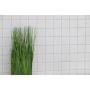 Mosaik Uni blank hvid 29,8 x 29,8 cm
