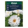 Weibulls blomsterfrø stolte kavalerer double dutch white