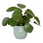 Elho urtepotteskjuler Vibes Fold Round mint Ø18 cm