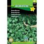 Hornum krydderurtefrø Brøndkarse