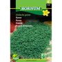 Hornum krydderurtefrø Karse Einfache Grüne (MaxiPack)