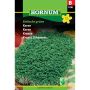 Hornum krydderurtefrø Karse