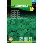 Hornum krydderurtefrø Persille, Krus Grüne Perle