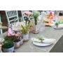 d-c-fix dug Monte Carlo Jolice Creme 110 cm x 1,4 m