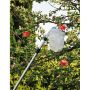 Grouw frugtplukker med teleskopskaft 