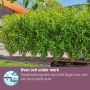 Gardena hæk-/busksæt Micro-Drip