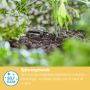 Gardena trykkompenserende endedrypvander Micro-Drip 4,6 mm (3/16") 2 L/t 10 stk.