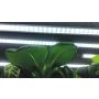 Nelson Garden vækstbelysning ekstra LED 60 cm 