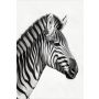 InEx World of Art akustik zebra sort/hvid 20x1220x1800 mm
