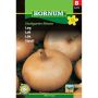 Hornum grøntsagsfrø Løg Stuttgarter Riesen