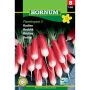 Hornum grøntsagsfrø Radise Flamboyant 3