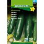 Hornum grøntsagsfrø Squash Black Beauty