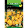 Hornum grøntsagsfrø Tomat, Pære-
