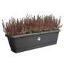 Elho altankasse Noa plast sort 65 cm
