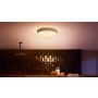 Philips Hue Devere loftslampe hvid 19,2W