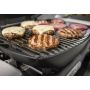 Weber gasgrill Q1200N 