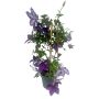 Clematis espalier Ø19 cm potte - flere farver