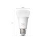 Philips Hue startsæt 2xE27 WCA 1100 lm m/Bridge Pro+Dimmer switch