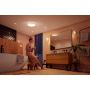 Philips Hue loftlampe til badeværelset Devere