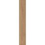 Logoclic laminatgulv Silentos almina oak 1288x195x9 mm 2,01 m²