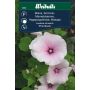 Weibulls blomsterfrø mamelukærme 'Pink Blush'