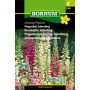 Hornum blomsterfrø fingerbøl blanding 'Digitalis purpurea' pastel