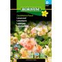 Hornum blomsterfrø løvemund 'Antirrhinum majus' peach