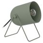Eglo bordlampe Tilston H14 cm E14 grøn