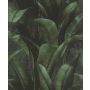 Rasch tapet grønne palmeblade 1050x53 cm