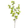 Emerald kunstig snitblomst Tropaeolum grøn 90 cm