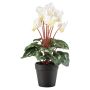 Emerald kunstig blomst Cyclamen hvid 30 cm