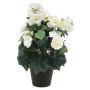 Emerald kunstig busk Begonia creme 30 cm