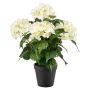 Emerald kunstig busk Hortensia hvid 40 cm