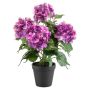 Emerald kunstig busk Hortensia fuchsia 40 cm
