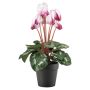 Emerald kunstig busk Cyklamen hvid/pink 30 cm