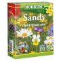 Hornum blomsterfrø Sandy wild flower mix 50 g