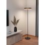 Eglo gulvlampe Trabuco sort LED H175 cm