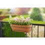 Elho altankasse Vibia Campana Allin1 plast terra 70 cm