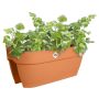 Elho altankasse Vibia Campana Flower Bridge plast terra 59 cm