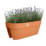 Elho altankasse Vibia Campana Flower Bridge plast terra 59 cm