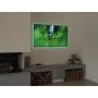 Osram LED-strip Flex Audio TV Voice Receiver USB 2 m