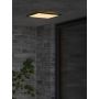 Nordlux loftlampe udendørs Oja Square sort LED L29,5 cm
