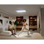 Philips loftlampe Skylight large LED