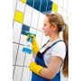 Gloria finsprøjte forstøver CleanMaster CM 05 0,5 L